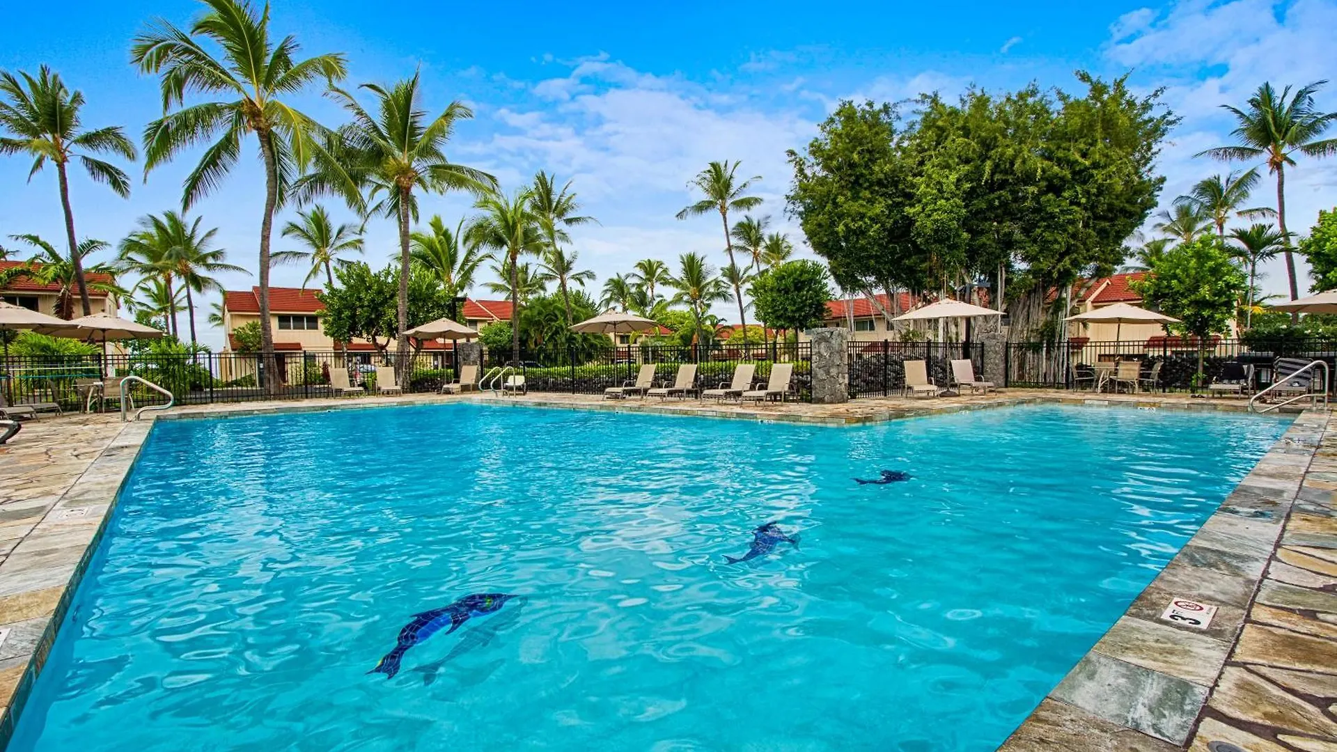 Keauhou Kona Surf Racquet 2101 Apartment Kailua-Kona
